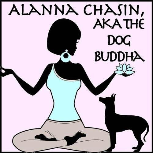 I own Chasin Pets (Daycare/Boarding) Company. I dedicate my life to loving dogs. Gotta question? Let me know. Follow me on Facebook: https://t.co/nOuHYYAJ2u