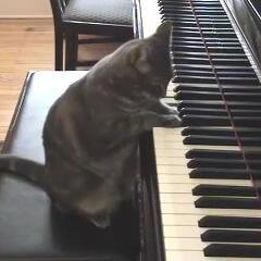 omerabiniz's profile picture. 15