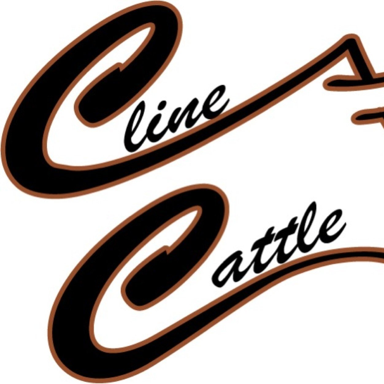 ClineCattle's profile picture. Raising, buying, & selling high quality show cattle!Stop by or call anytime to view! | Justin Cline-405-880-2366 |Connor Cline-580-262-0066
1 mile off I-35
