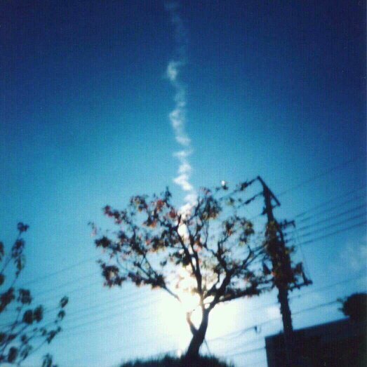 SAKUさんのプロフィール画像