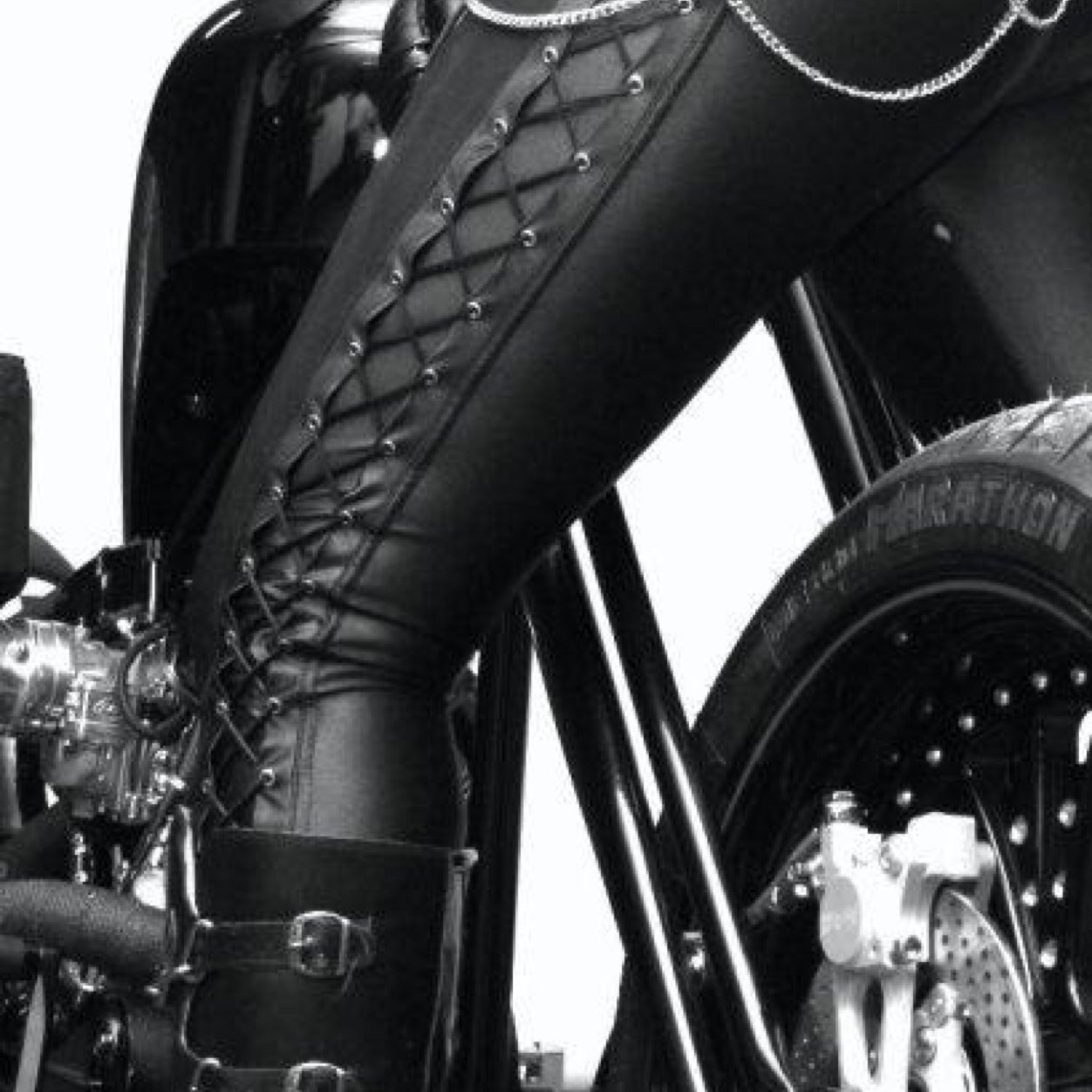 GaRebelDaughter's profile picture. A rebel daughter living in a man's world. Defying stereotypes since 1991.