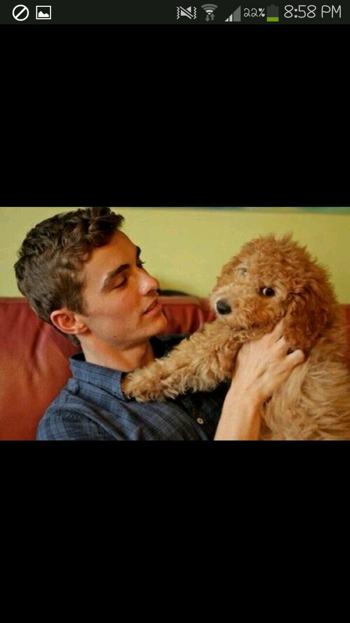 JayShowsMeLove's profile picture. ✧I need new haters because my old ones are starting starting to like me✧