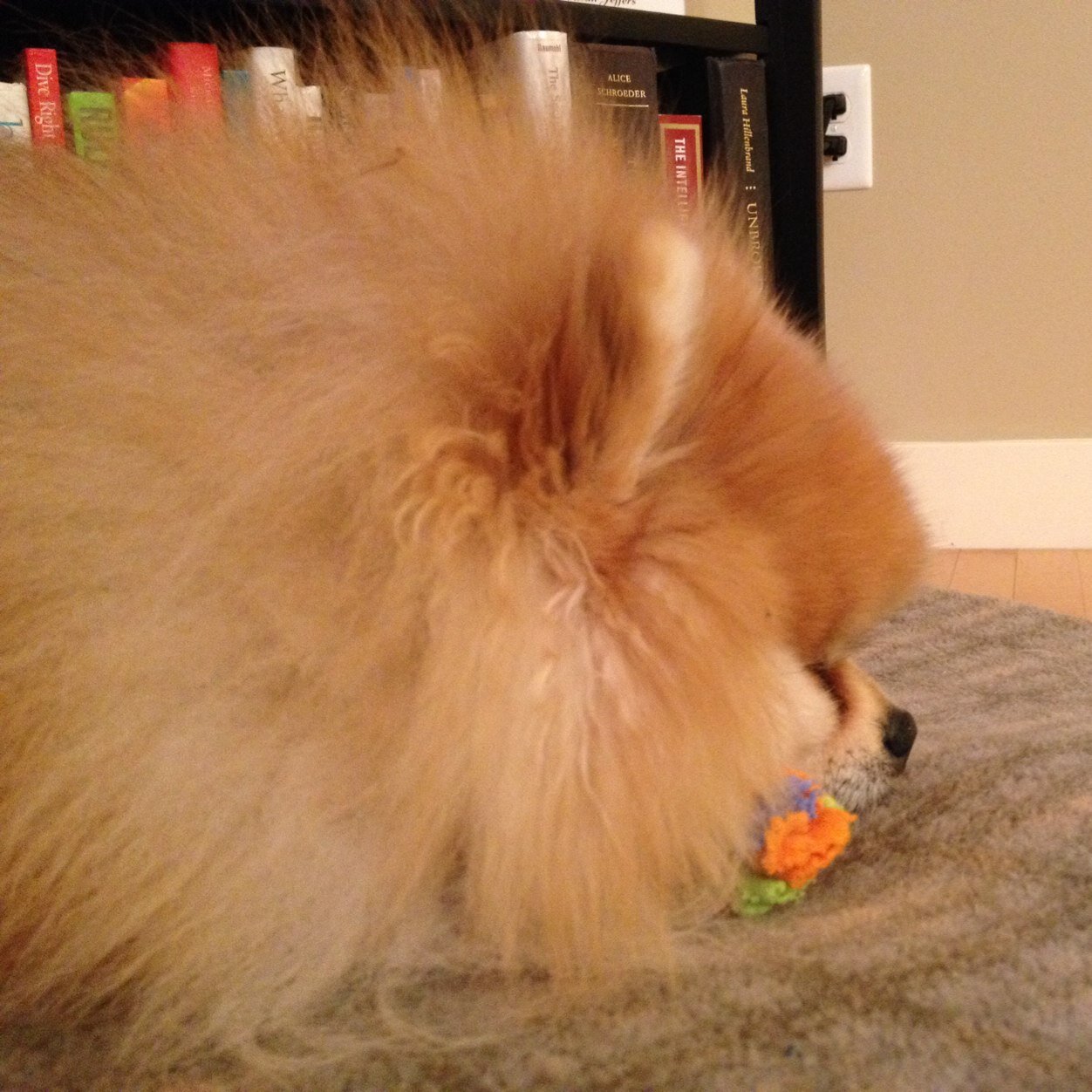 ckendall2009's profile picture. long-distance runner, brand builder, all-weather Mainer with Moxie