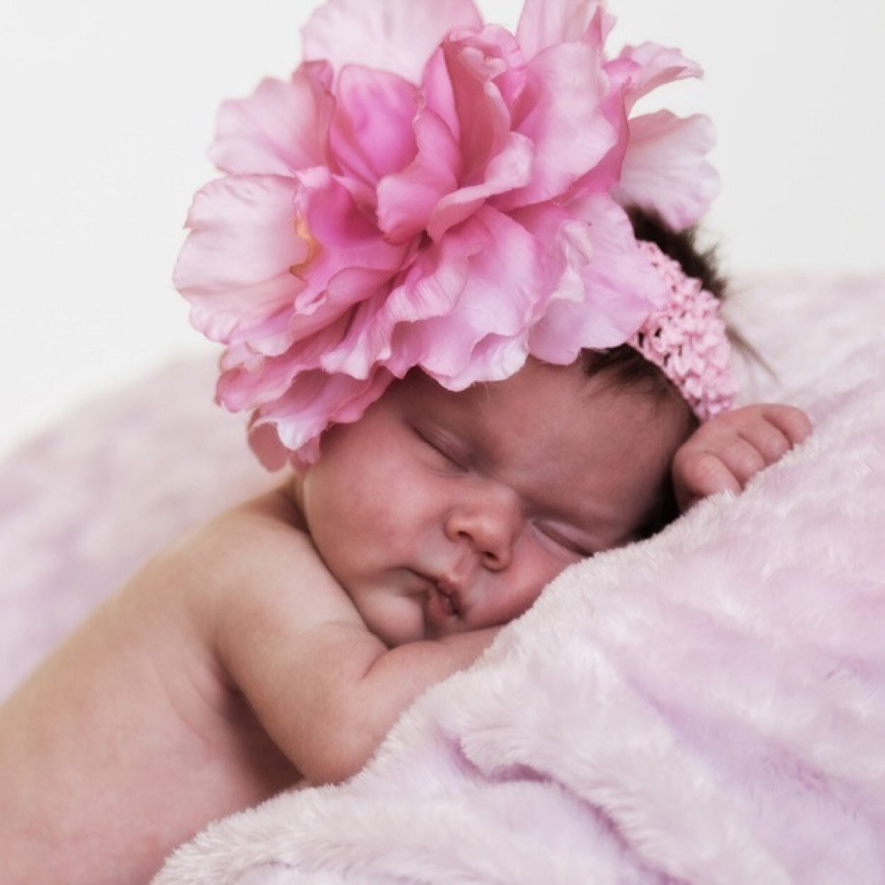 TinyBabyBella's profile picture. 