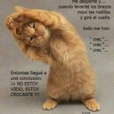 rocio centeno murill - @dilaidy - Twitter