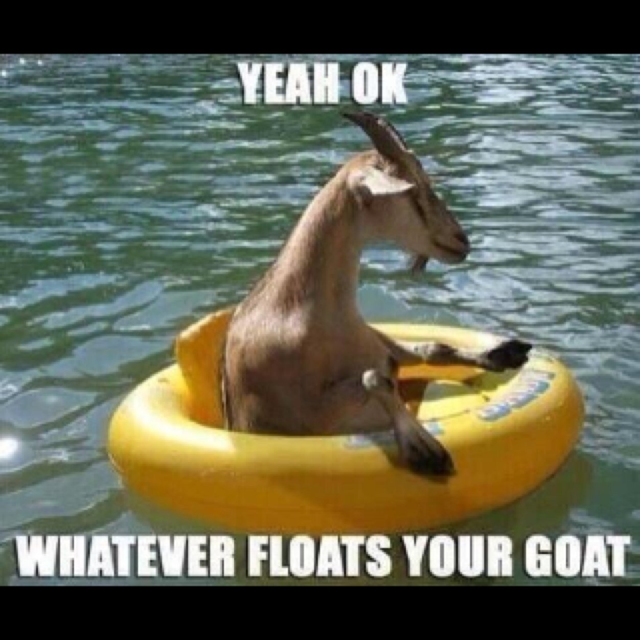 CycleWarren's profile picture. Racing bikes and slamming mics