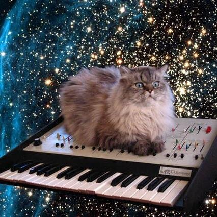 kay_bobinson's profile picture. 