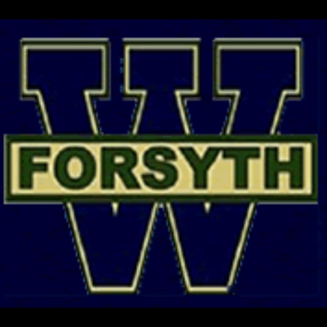 WFHSbash Profile Picture