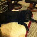 Clark Everett - @ClarkEverett2 - Twitter