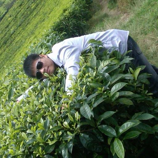 mardona12345678's profile picture. 