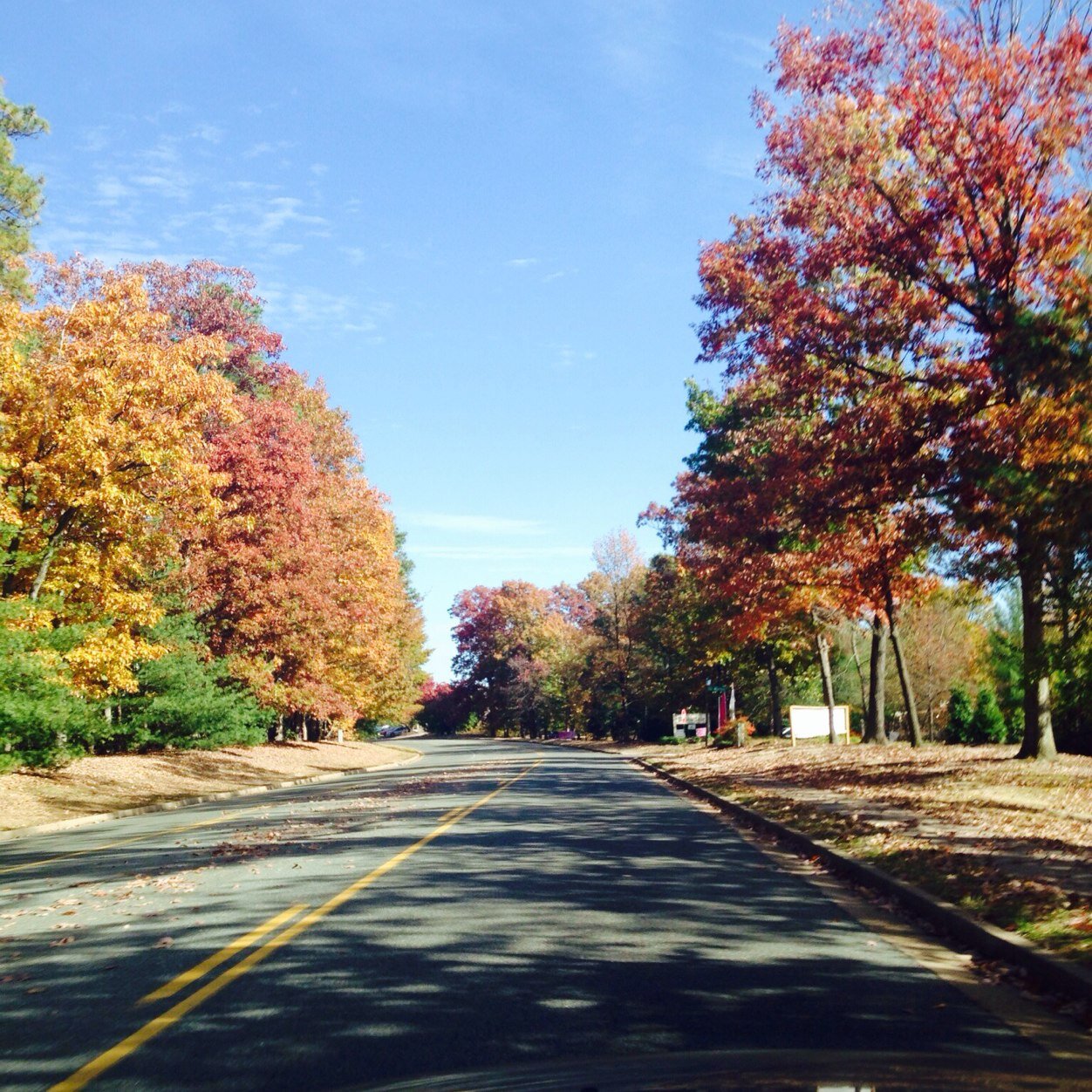 JkaurGill's profile picture. Life has no limitations, except the ones you make.