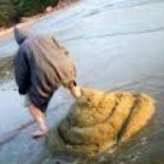 Ni escritor, ni periodista, ni actor, ni politico, ni cacagrande o cuanta etiqueta se inventan... Un twittero mas. Followback