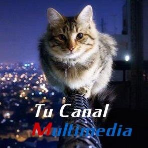 Actualidad Global, Entretenimiento, Deportes, Musica, Videojuegos, Humor, Cine (((sigueme y te sigo)))