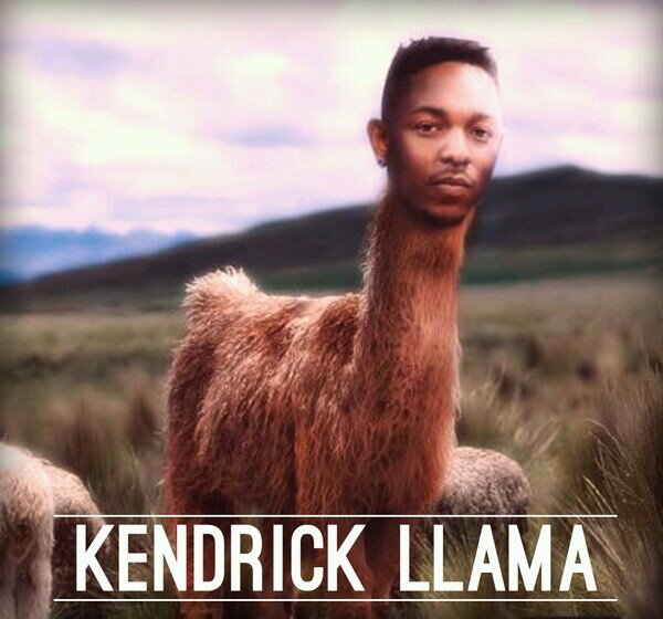 ♧ Gurl I'm kendrick llama ♧                                     ♢Follow hommies♢                                           ■■■■■□□□□□daily funny shit■■■■■□□□□□