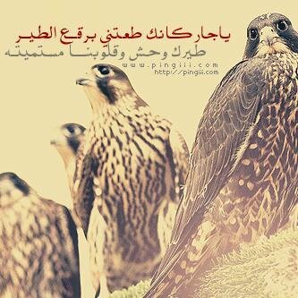 قروب متخصّص بإنتقاء وأختيار أجمل الأبيات وأرسالها ، والهدف الوحيد من إنشاء هذا القروب هو إحترام ذائقة متابعين الشعر