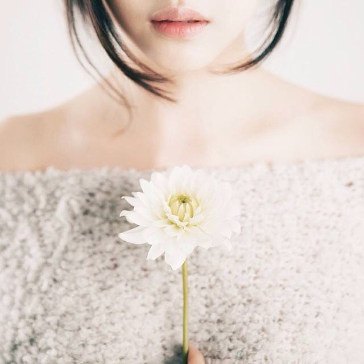-한블링- H A N B O R E U M ; A C T R E S S ; 1st thaibot✨ BOTNOTREAL ▶️ R E A L @Han_Bling ★มาดแมนแฮนด์ซั่มเกิร์ล★ แปดเจ็ดไลน์