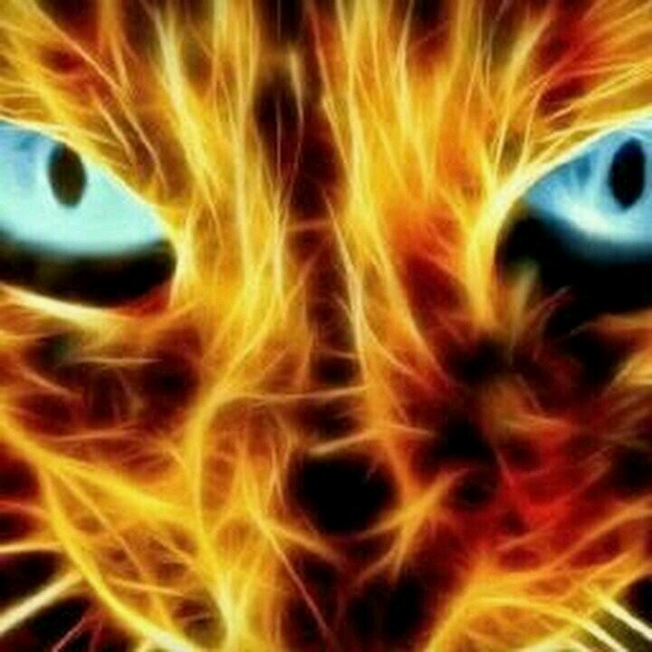 e9a3e00005c2481's profile picture. having fun. never financial advice. hell I don't even listen to me.
GOD BLESS AMERICANS