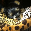 Amy French - @AmyAn35 - Twitter