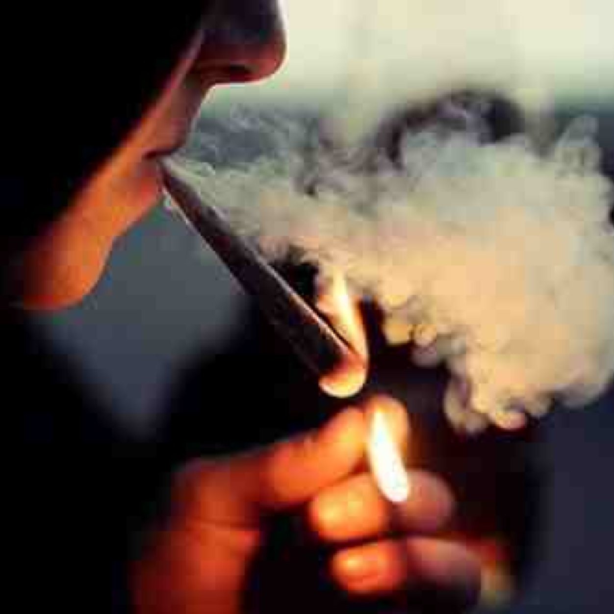 AStonersLife420's profile picture. Lets Get Medicated! Mary Jane lover! #FuckThaFreeWorld #StillBlazin