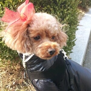 공더기 새로운계정입니다! 에러로 인해서 ㅠ 더이상 전에 있던 계정은 사용불가로 인해, 새로만들었어요 ㅠㅠ더기 친구해줄 언냐들은 팔로우팔로우 미!!!
