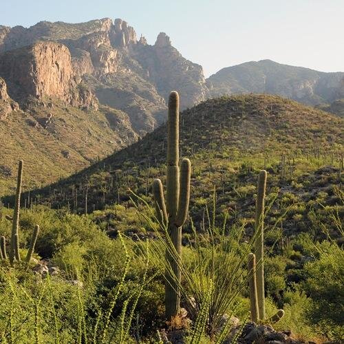 Anonymously submit your high school crush/compliment/confession from the Tucson area! Not affiliated with any high school or organization.