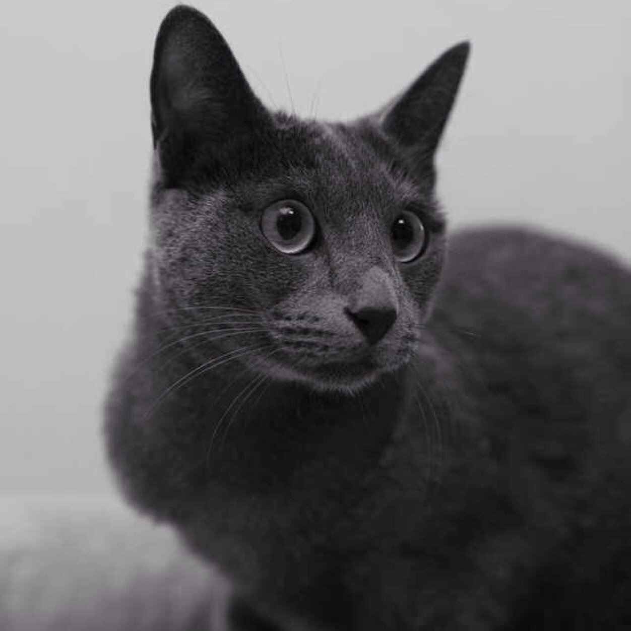 LuckCici's profile picture. When the going gets tough, the tough get going.——道路艰难，唯勇者行。