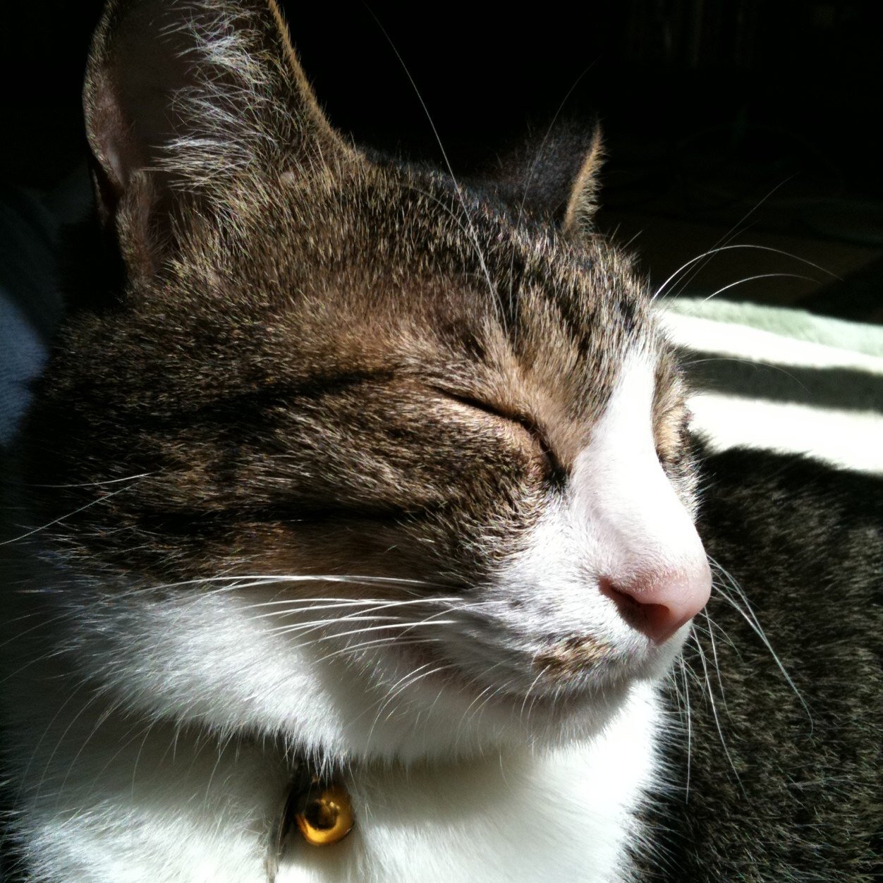 2017 3/20(月)千葉ロッテマリーンズ練習inロッテ浦和球場 吉原正平さん