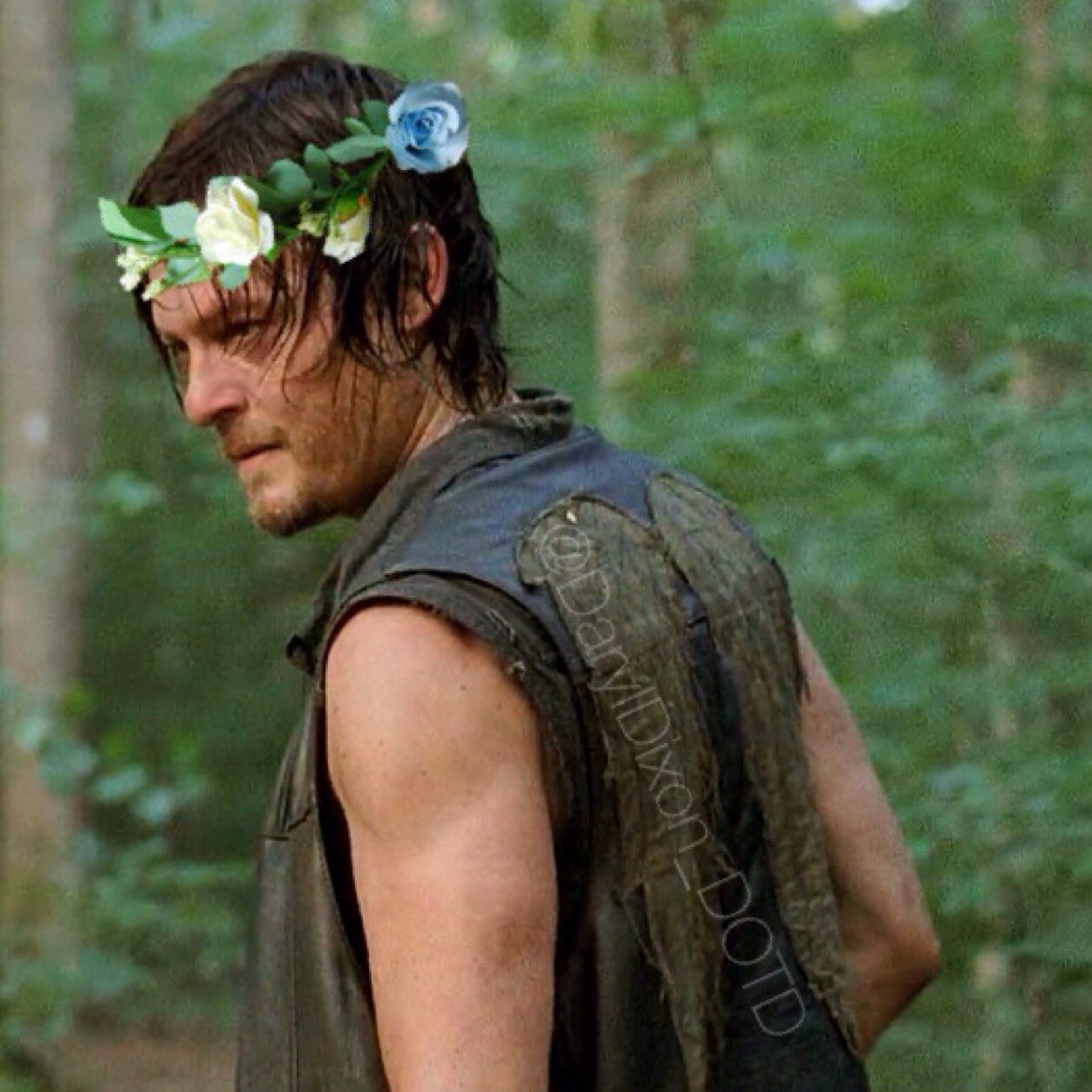 Back up account for @DarylDixon_DOTD