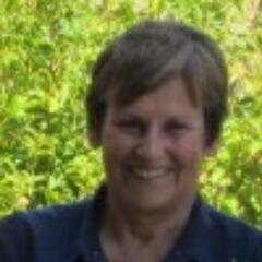 JoDudley6's profile picture. Primary School Educator. Passionate about anytime, anywhere learning through Conceptual Inquiry, EOTC, Sport, Digital Technology, the environment and outdoors.