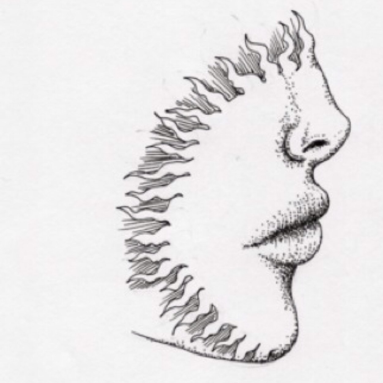 allforskinny's profile picture. cw:98 , gw1:85 , gw2:80 , gw3:75