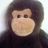 CJpacheco's profile image