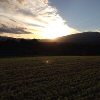 マチャキング (@11_masaking) Twitter profile photo