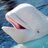 Whale Balancedさんのプロフィール画像