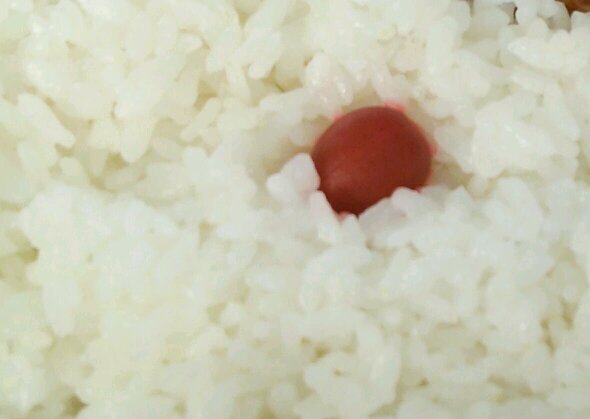 弁当の梅干し Violetblood24 Twitter 弁当の梅干し Violetblood24 Twitter