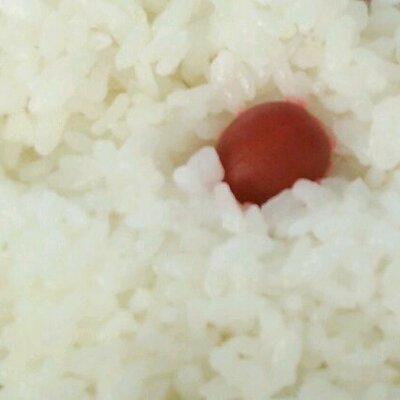 弁当の梅干し Violetblood24 Twitter