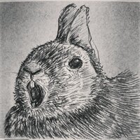 em (@for_testonly) 's Twitter Profile