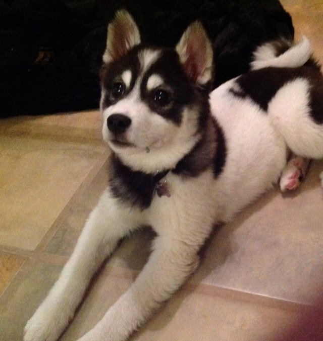 summitnme's profile picture. 