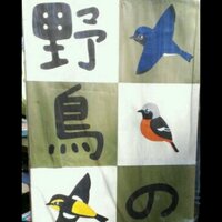 東京農業大学 野鳥の会 (@nodaiyatyokai) 's Twitter Profile