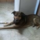 Antonio Borja  - @tonet_valencia - Twitter