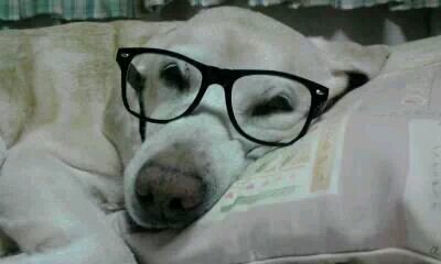 dust_mandayo's profile picture. プルシェンコのファン