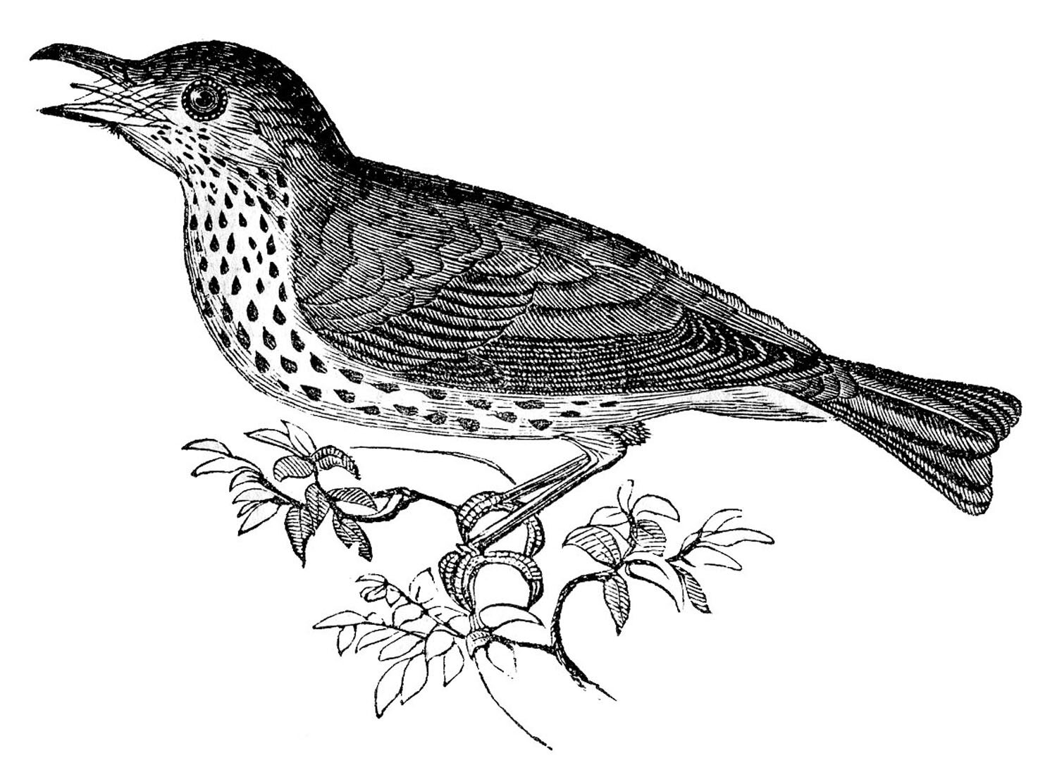 KeyTorchiMedia's profile picture. 