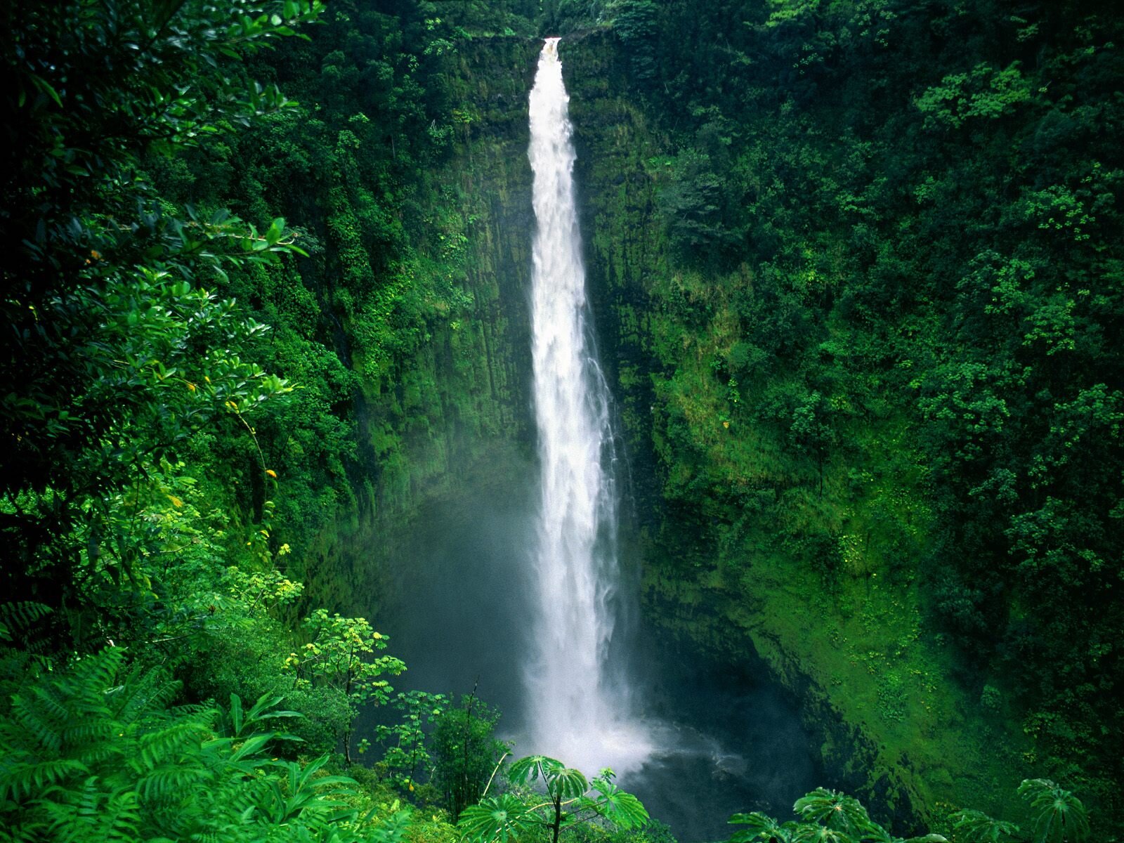 Release what could be holding you back from the most empowering connection
you can make ~ with yourself. Join Julia Carmen & Julie Williams in Hawaii!
