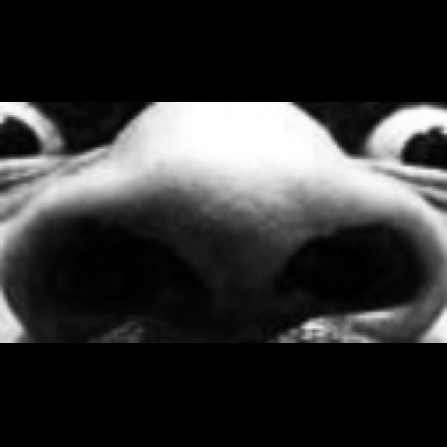 biddimpow's profile picture. Music Producer