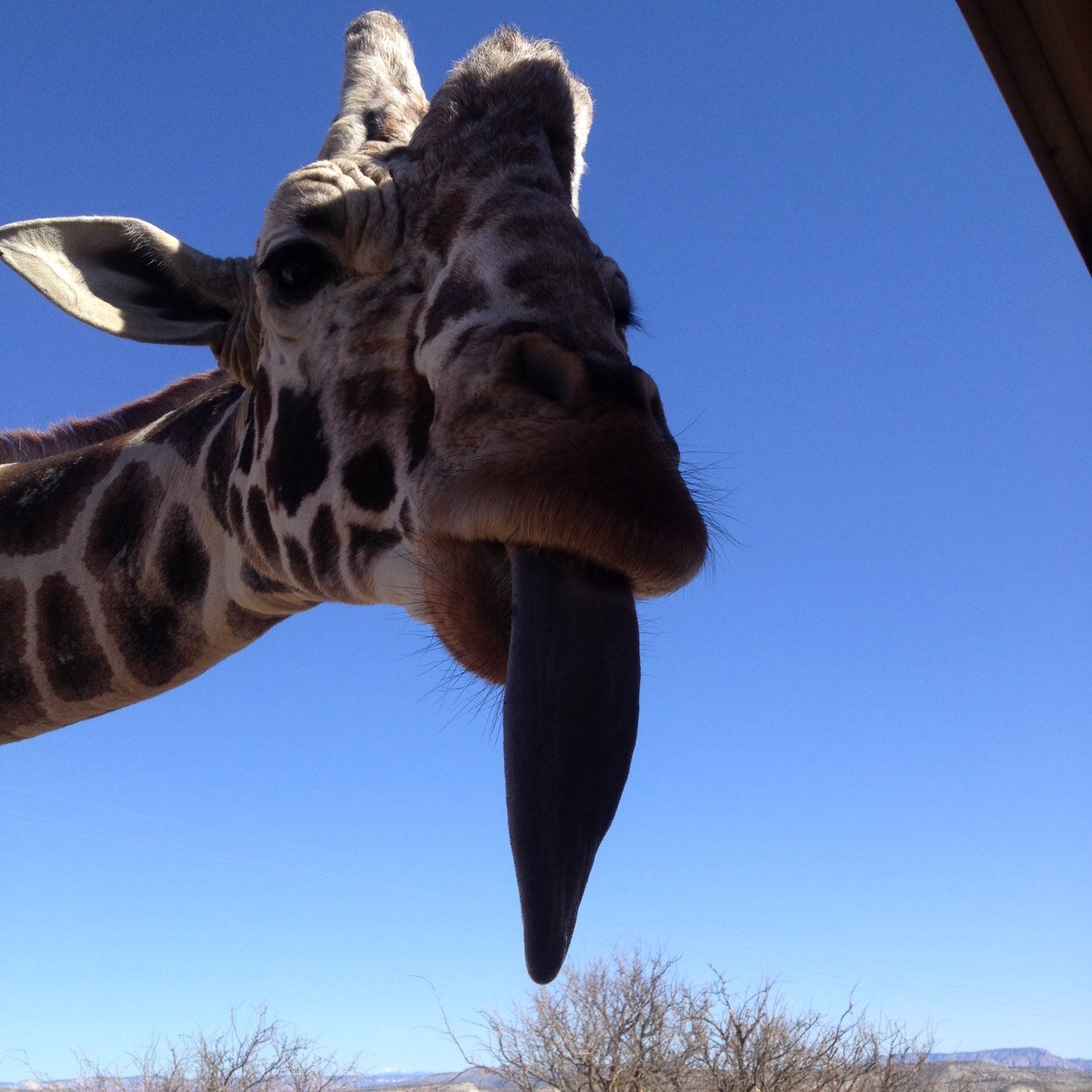 Jay12ollin's profile picture. #Investing #stocks #economy #environment #marijuana #cryptocurrency #AI #DOGE #KMD $acb $googl $aapl $msft $nflx $amd $nxgwf $nbev $trtc $cron $erbb $cgc $apha