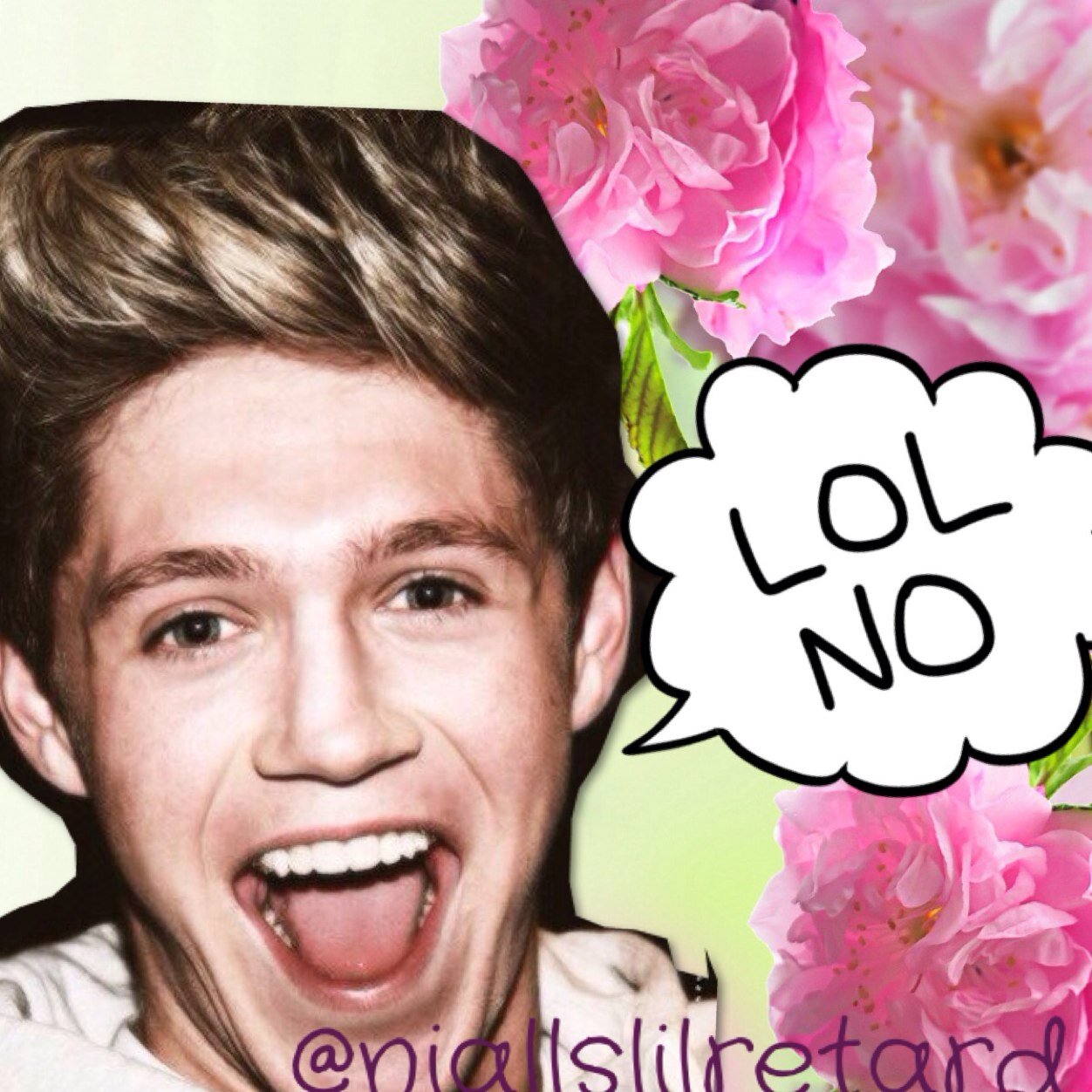 Niall is such a cute boyfriend, we play this game and i pretend to be a crazy fan and he pretends he has no idea i exist.
