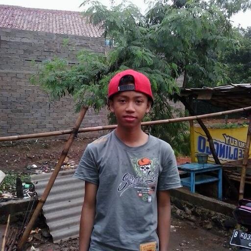 novan703's profile picture. 