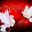 ابوتريكه (@01020284562) Twitter