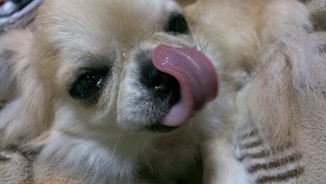 kishimenudon's profile picture. A secret makes a women women.