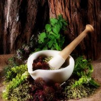 Juneja Ayurveda (@junejaayurveda) 's Twitter Profile