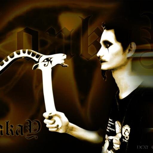 Boomerang Enthusiast. Metal Distortion. Gadget and Operating System